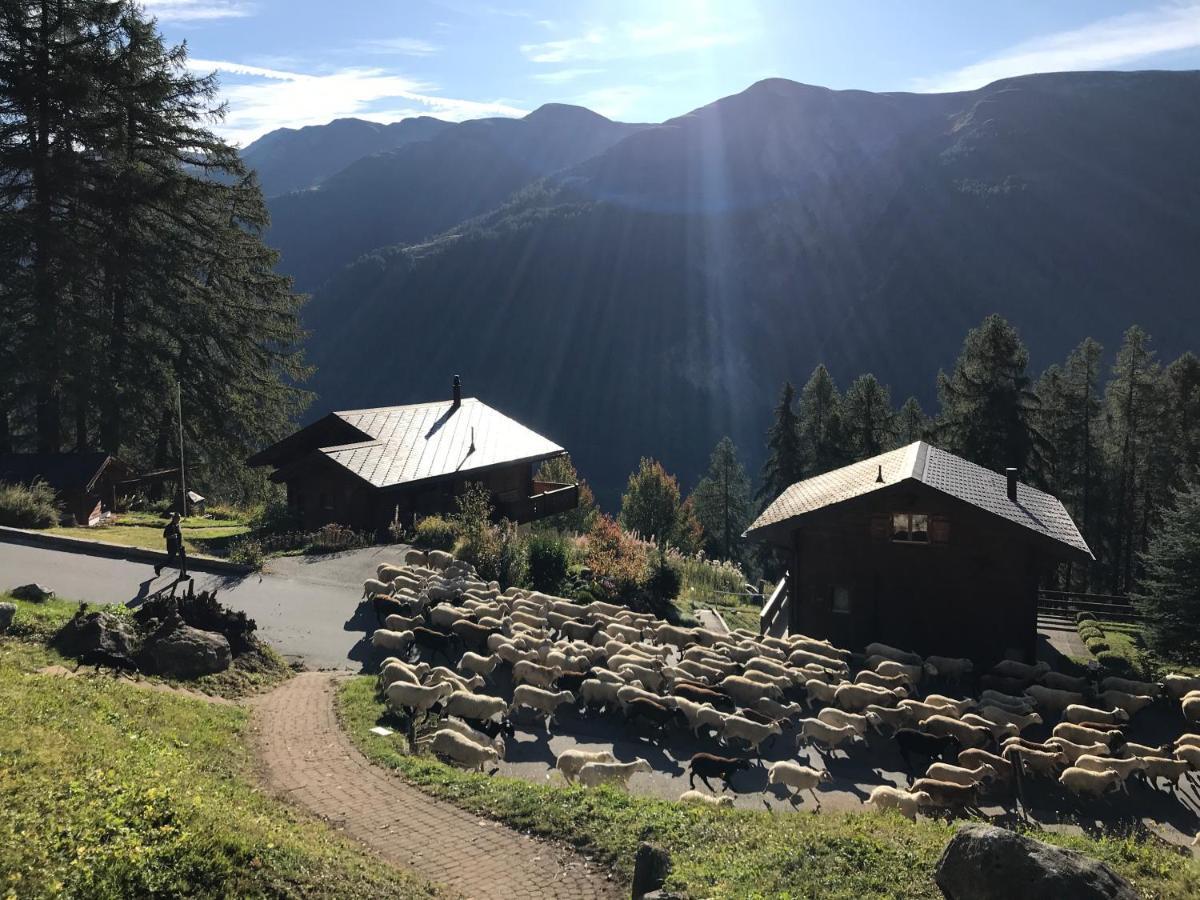 Laerchenwald Lodge Bellwald Bagian luar foto