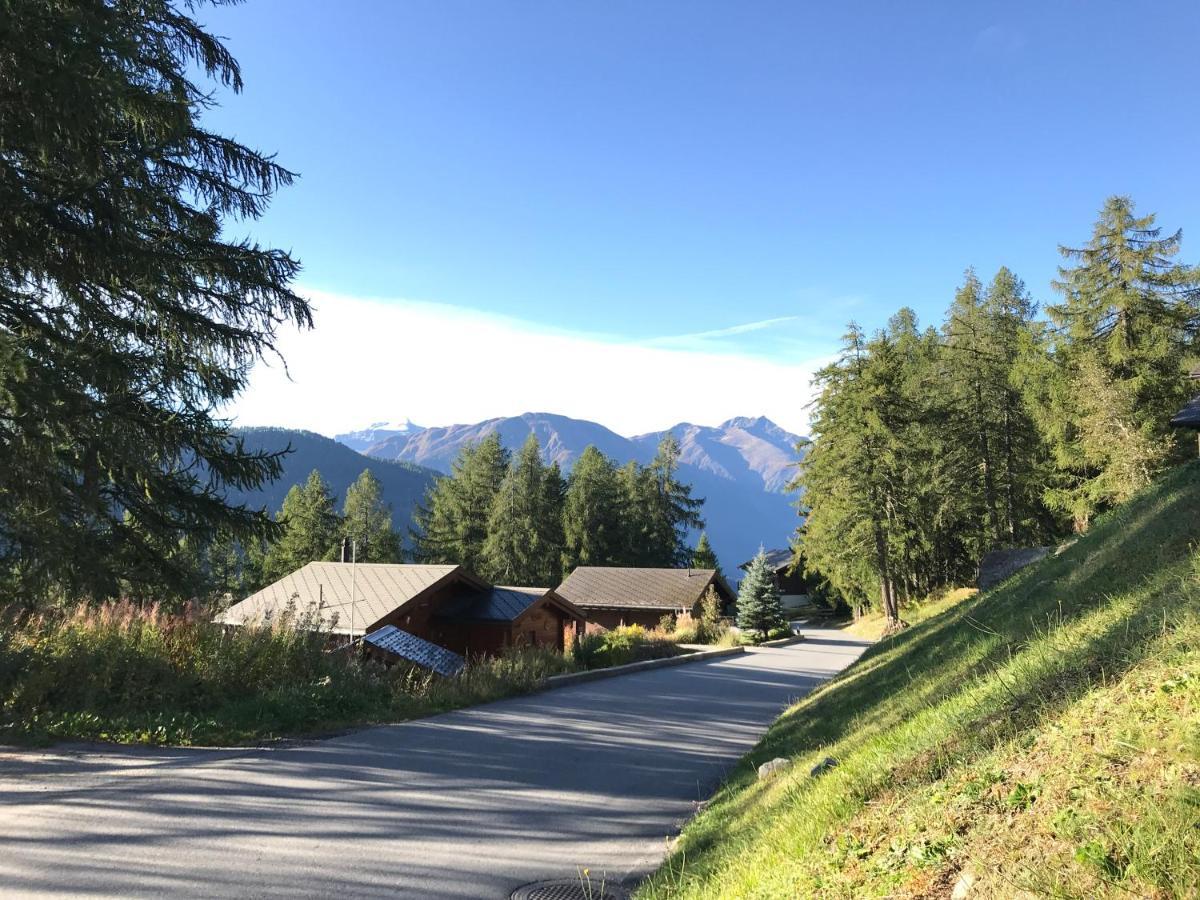 Laerchenwald Lodge Bellwald Bagian luar foto